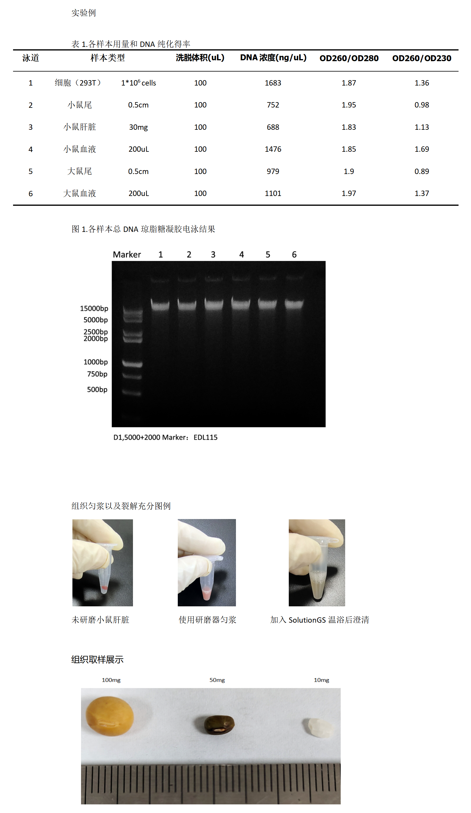 EP007 血液、細胞、組織基因組DNA提取試劑盒_01.png